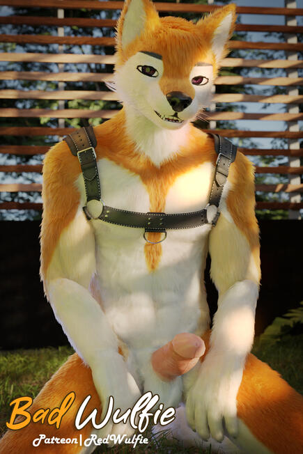 Enticing Coywolf - GIFT